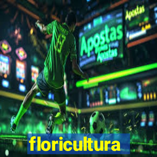 floricultura juazeiro bahia